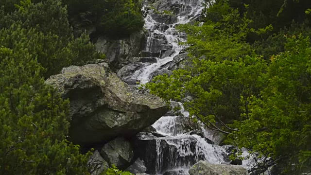 克里克 - 波兰莫尔斯基奥科视频素材