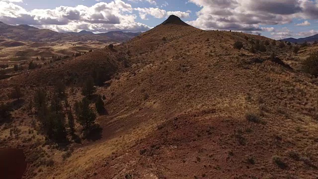 鸟瞰图的油漆山，俄勒冈州视频素材