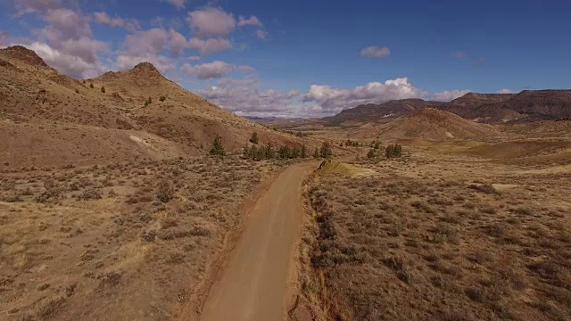 鸟瞰图的油漆山，俄勒冈州视频素材