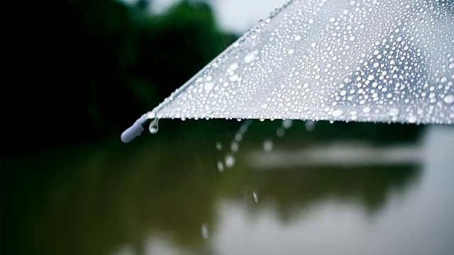 在外面的公园里下雨的伞的特写视频素材