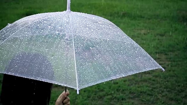 特写伞与女士在雨天在公园视频素材