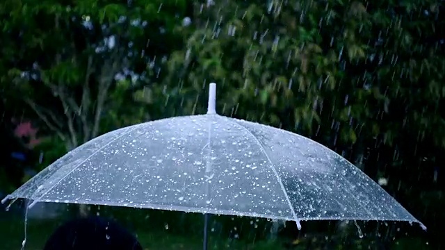 特写伞与雨在慢动作拍摄视频素材