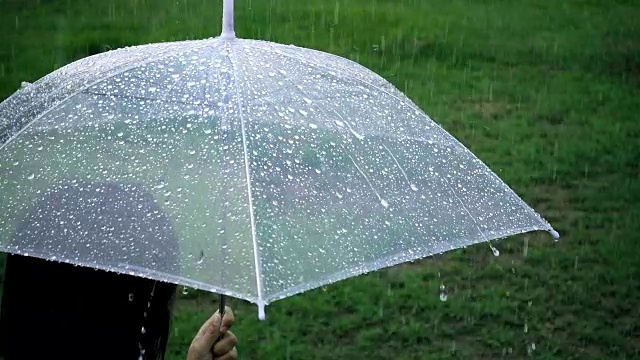 特写伞与女士在雨天在公园视频素材