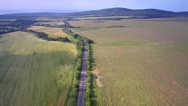 绿地上的道路视频素材