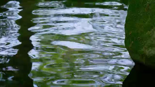 日式园林中的流水和阳光反射视频素材