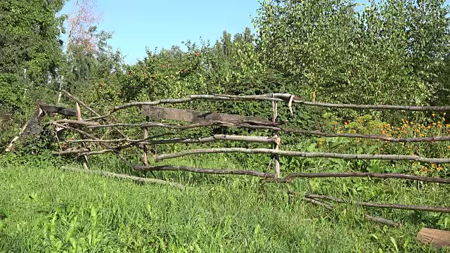 用木制的树围栏和温室和植物生长的乡村花园。全景。FullHD视频素材