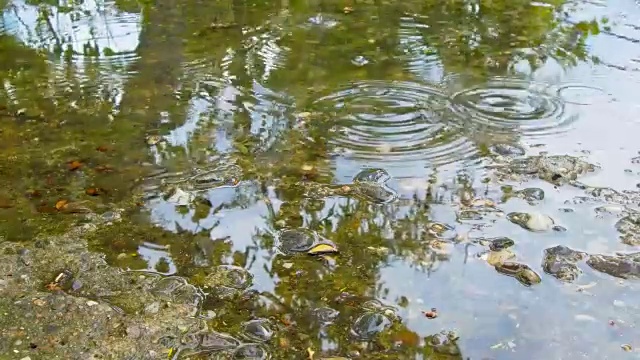 雨在城市的人行道上形成水坑视频素材