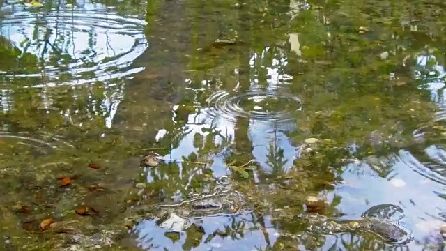 雨在城市的人行道上形成水坑视频素材