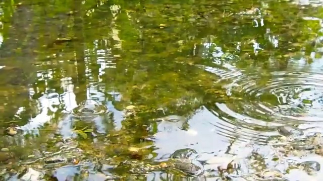 雨在城市的人行道上形成水坑视频素材