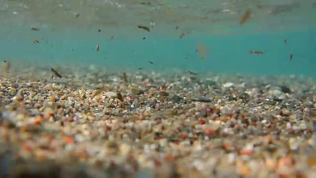 水下拍摄。沙子，沙滩卵石和海浪特写。继续教育视频素材