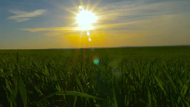 绿色的草地和蓝色的天空映衬着橙色的夕阳视频素材