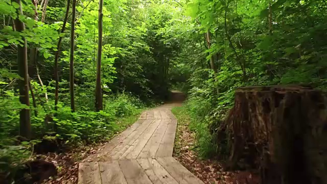 飞过绿色的森林。空中飞行跟踪在树林里的踪迹视频素材