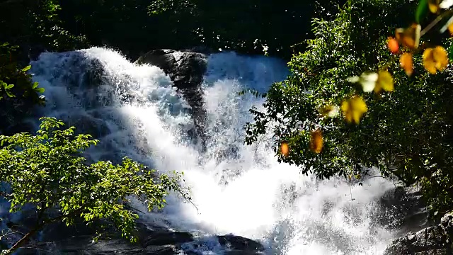 雨季的瀑布。有很多水流入石头。在国家公园的森林里，包括瀑布的声音。视频素材