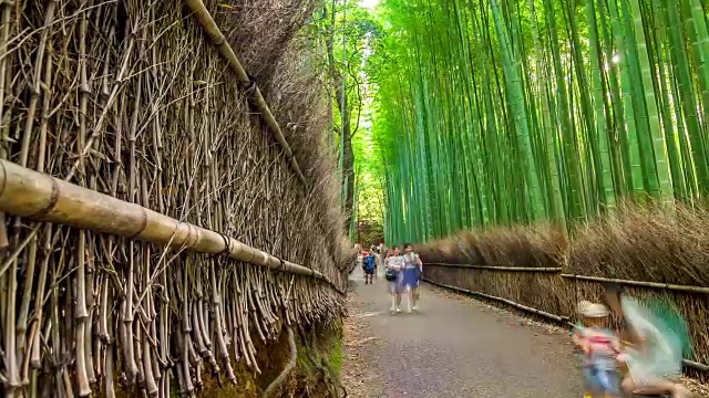 高清延时:旅行者在岚山竹径京都，日本。视频素材