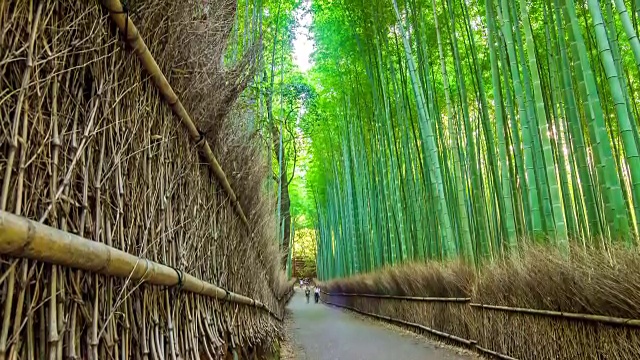 高清延时:旅行者在岚山竹径京都，日本。视频素材