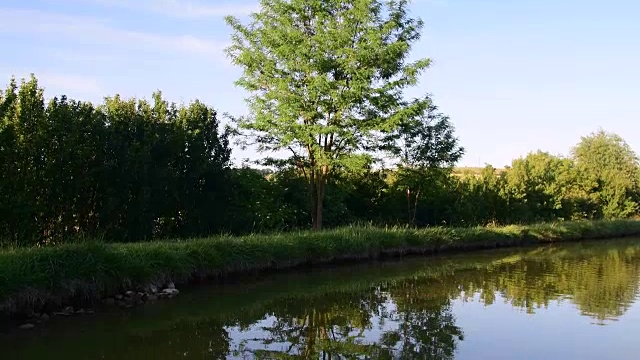 乡村景观全景。国家池塘。阳光明媚的下午。音频视频剪辑。鸟和昆虫的声音视频素材