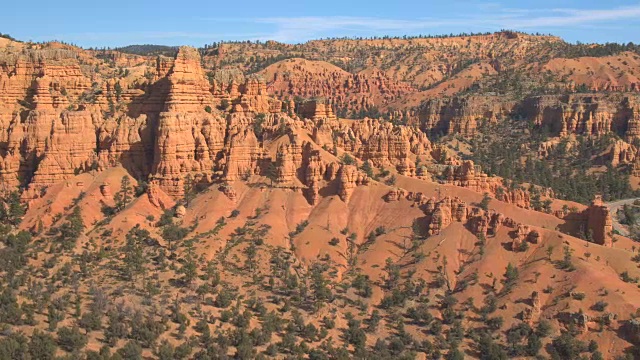 航拍:犹他州布赖斯峡谷令人惊叹的红色岩石hoodoos和砂岩悬崖视频素材