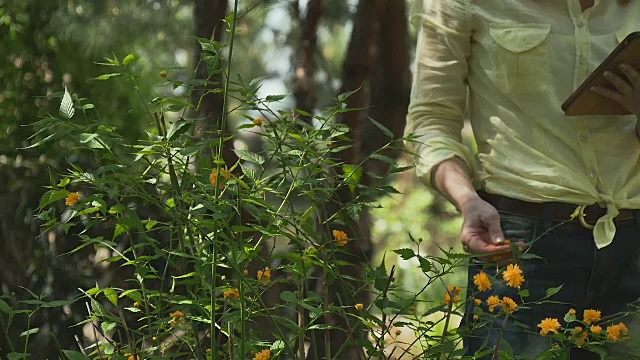 拿着写字板的女人摸着花园里的花视频素材