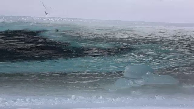 春天河水的流动视频素材