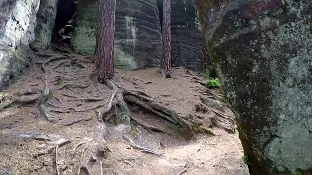 走在森林岩石间的小路上视频素材