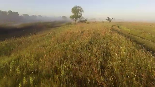 在午后的阳光下飞过田野之间的公路视频素材