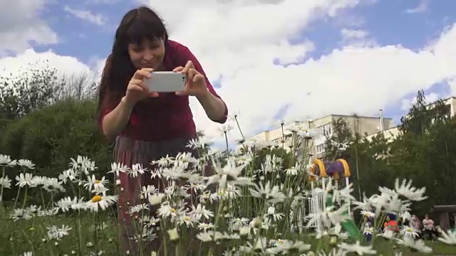 一名年轻女子正在户外用手机给一株甘菊拍照。视频素材