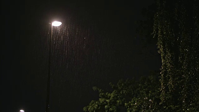 雨夜。孤独的灯柱和一棵潮湿的树视频素材