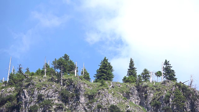 山林，斯普林森林，云歌森林，雪山，高山，阿尔卑斯森林，阿尔卑斯山，4K视频素材