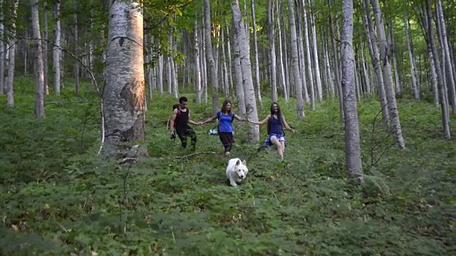 登山的人视频素材