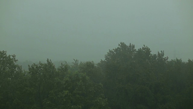 森林里下着大雨，伴有闪电和大风。视频素材