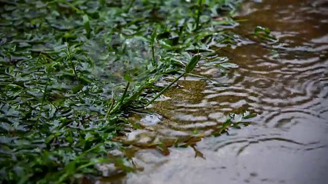 雨缓慢地落在地板上视频素材