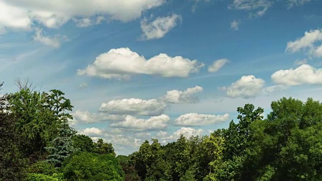 夏天的白天和天空中的云时间流逝。漂亮的绿色的树。自然景观视频素材