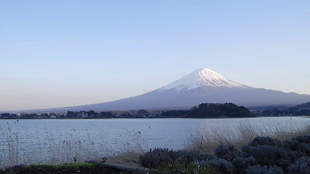 从日本川口湖看富士山视频下载