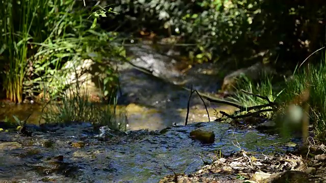 水山跑近了视频素材