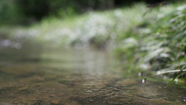 在森林中流淌的小溪。山景观视频素材