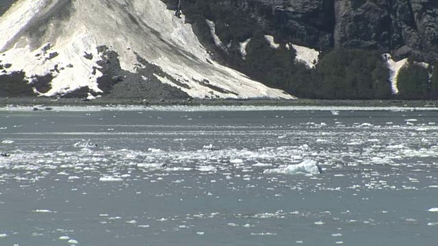 阿拉斯加冰川湾视频素材