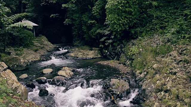 巴厘岛吉吉特瀑布旁的河流。视频素材