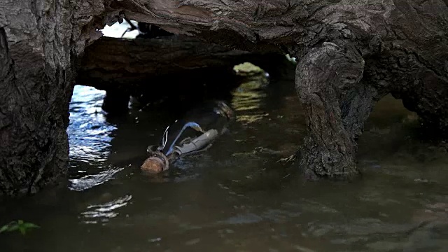 一个带着音符的瓶子在海浪上摇摆视频素材