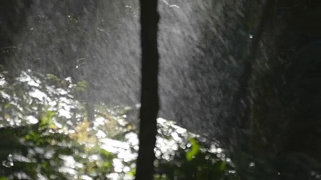 翠绿的树枝下着淅淅沥沥的雨点。热带雨林。慢动作视频素材