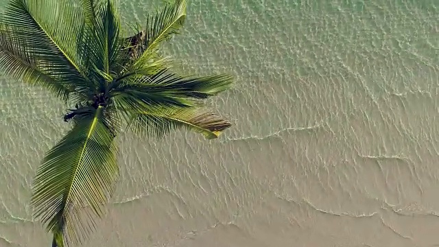 热带岛屿海滩鸟瞰图。椰子树上洗着海浪视频素材