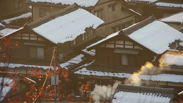 日本福井日本纸村，戈卡区视频素材