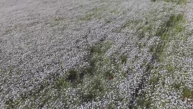 航拍:在白色的田野周围，以慢镜头观看群山视频素材