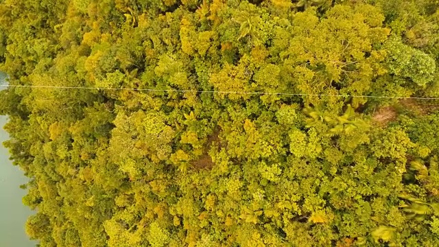 巧克力山在保和，菲律宾，鸟瞰图视频素材