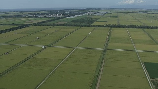 日本秋田绪方市的AERIAL绿色农田视频素材