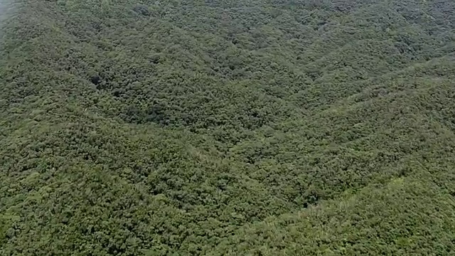 航空，山巴鲁国家公园，冲绳，日本视频素材