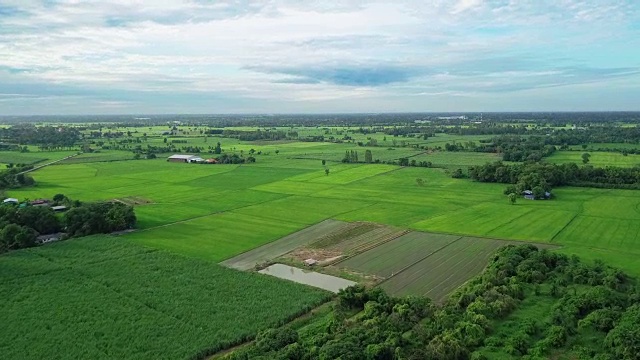 鸟瞰图农田与各种类型的农业在泰国农村视频素材