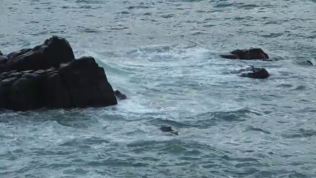 日本福井的越前海岸冬季视频素材