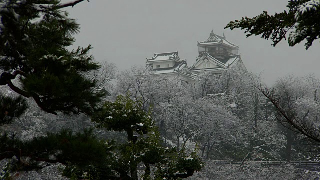 日本福井越前小野城堡视频素材