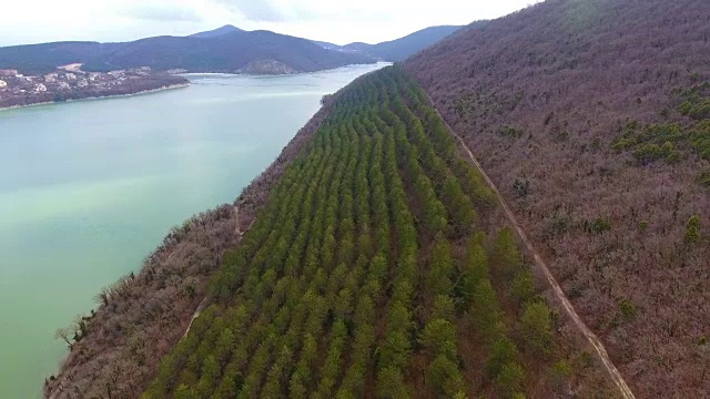 山景、湖泊和森林鸟瞰图视频素材