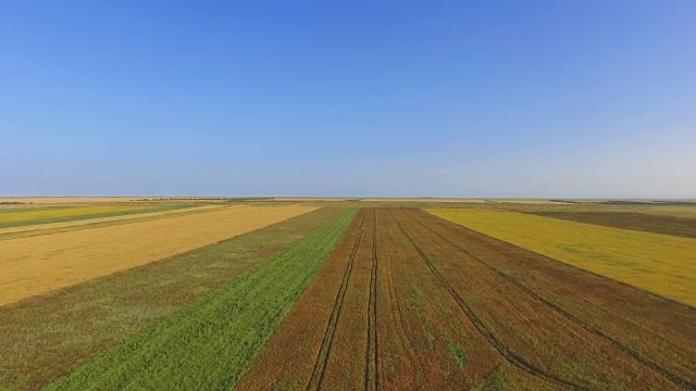 农田有不同的农作物类型，航拍视频视频素材
